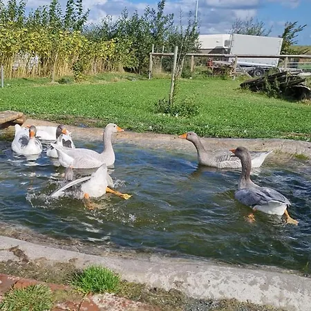 Venkovský dům Akkens, Greetsiel